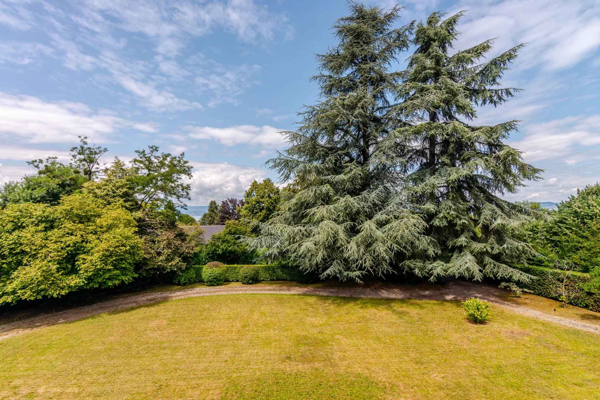 1b9d5face03a706f3a7de50008a81ec3 23bcca0aed 1920 original - Attribut alt par défaut.