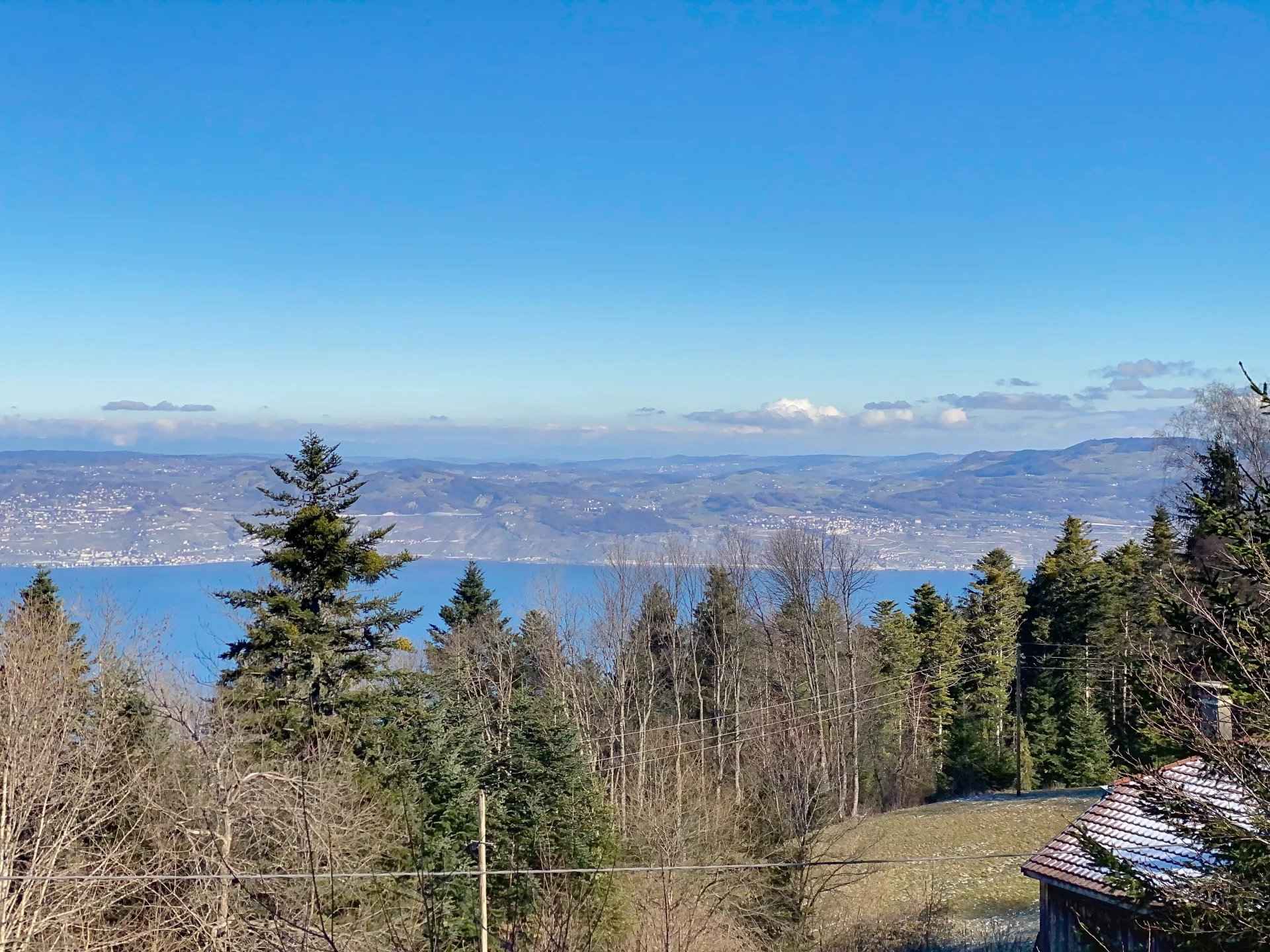 73fe2d7a84468bcdb495cfe92c19d095 b8cd74f543 1920 original - Attribut alt par défaut.