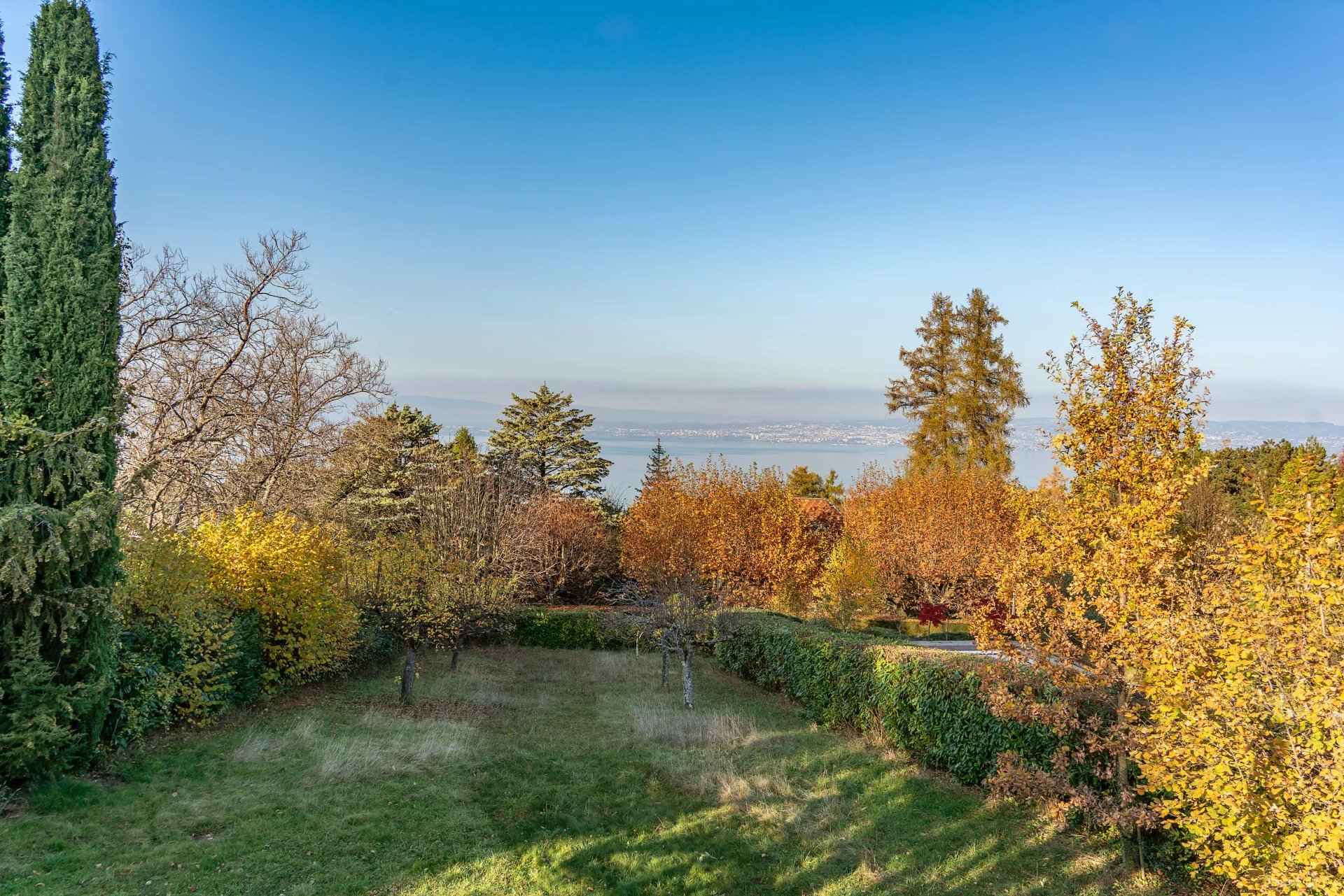 794e9b77869e9bcaf6490c7cb41b2d5e 8849873a89 1920 original - Attribut alt par défaut.