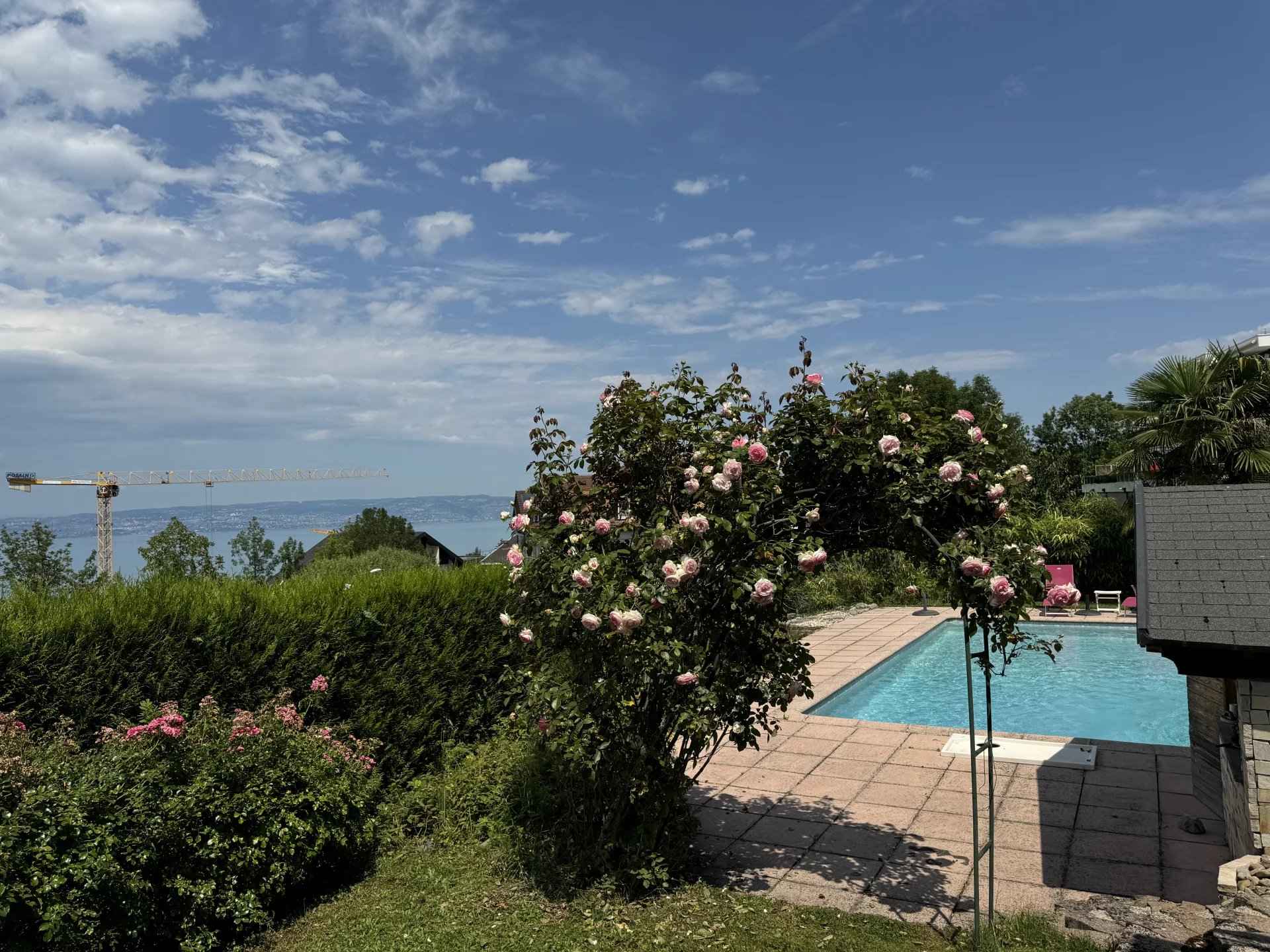 Fceab151198ef03343e1cea59d9d55de 05b69c5769 1920 original - Translation missing: en.helpers.application.image_tag.default_alt