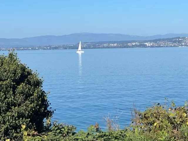 Ac3aa3841118393f5453ebf36264c984 4af6df4d73 640 original - Attribut alt par défaut.