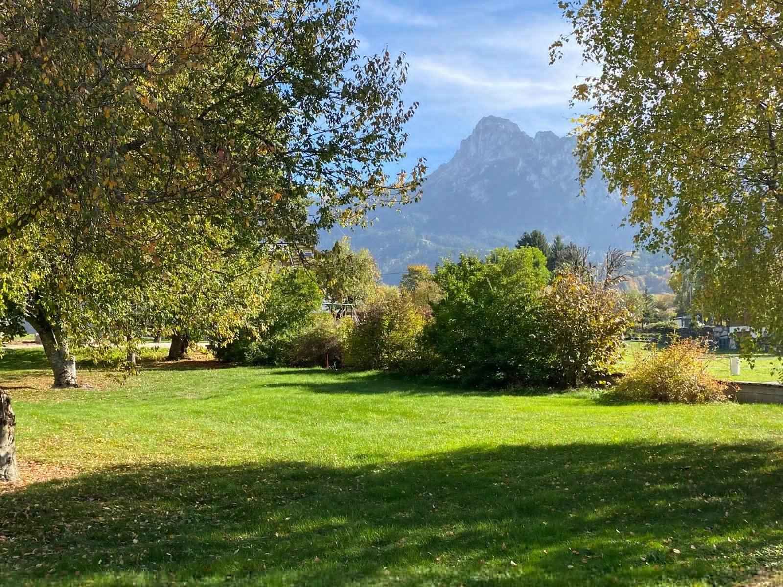 87ea5eca389b371ce3c9031577c3b68a 0bd2da1b88 1600 original - Translation missing: en.helpers.application.image_tag.default_alt