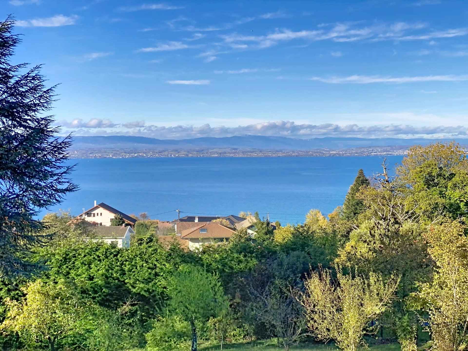 2d49cc58e688f65285ce937315bd81b3 f263f6641b 1920 original - Attribut alt par défaut.