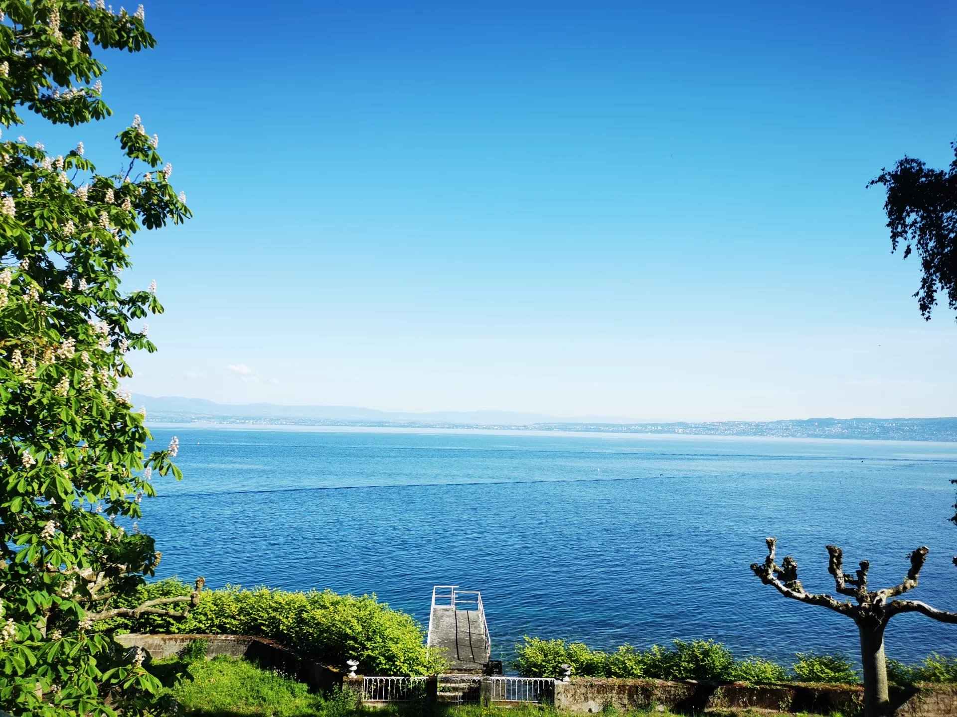 Picture 85454936 1 - Attribut alt par défaut.