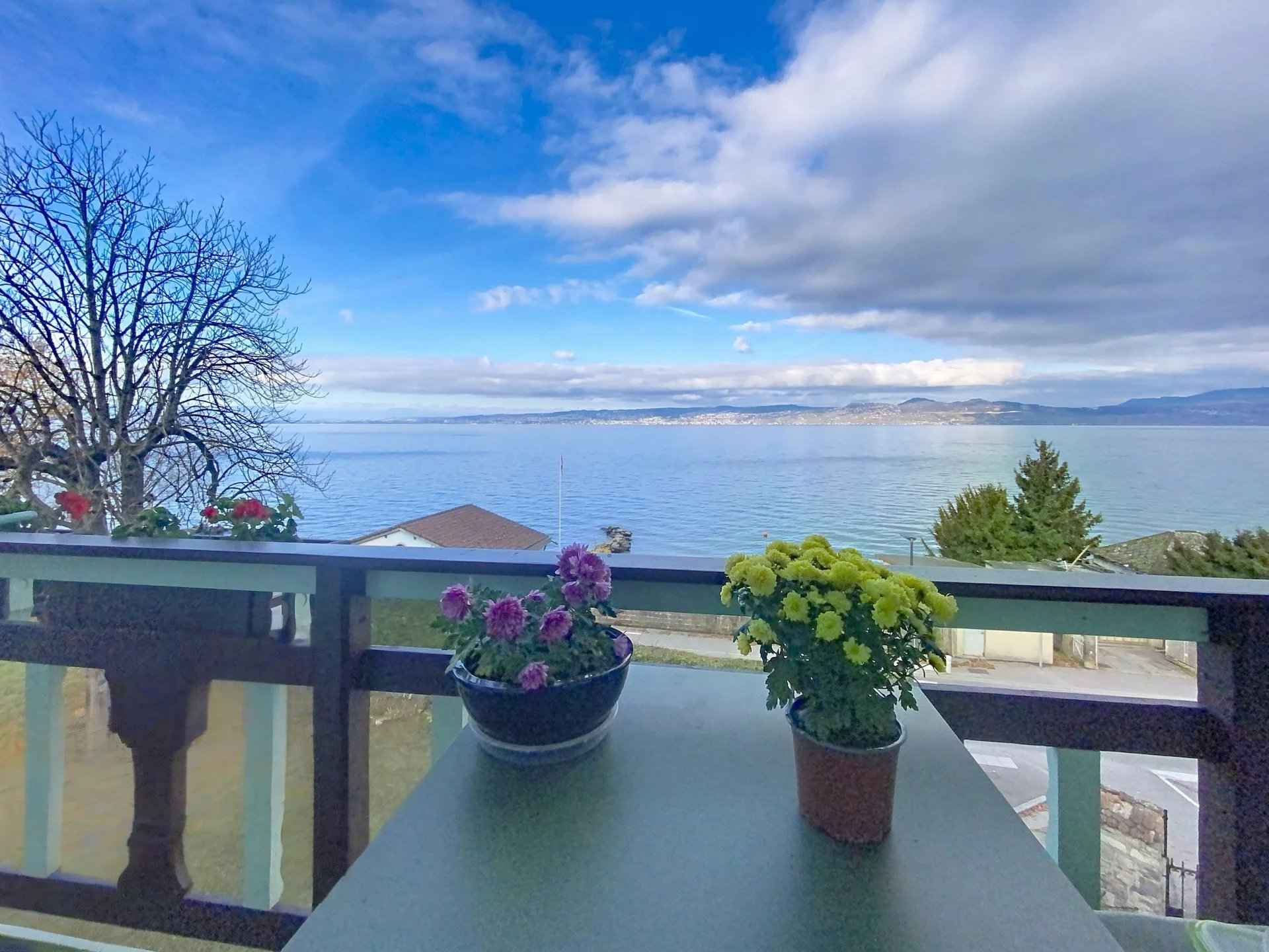 2c838e6fa19fdda2cb365cab6c20a2ea cca8e07748 1920 original - Attribut alt par défaut.