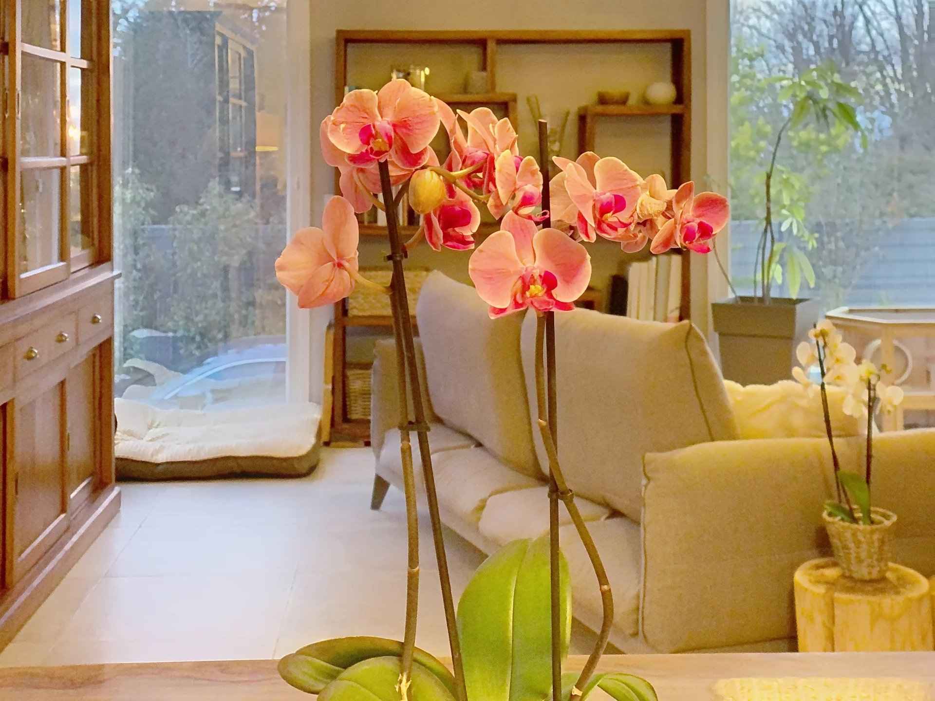 5247b8a43f7e688e71dbd6b0e56903b3 d899f9f190 1920 original - Attribut alt par défaut.