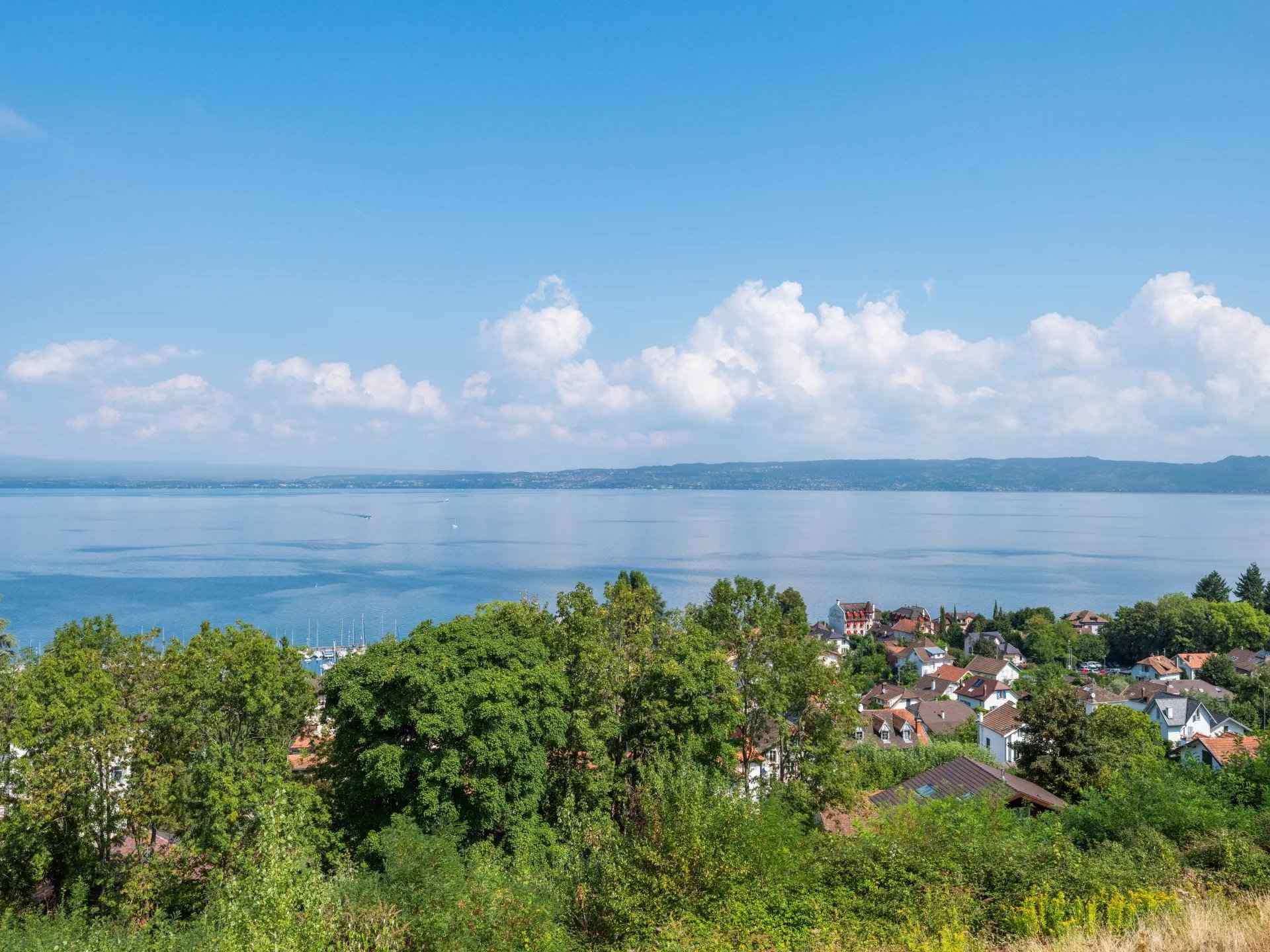 6015edecaf5645416268cd5f3525470b 98339b5588 1920 original - Translation missing: en.helpers.application.image_tag.default_alt