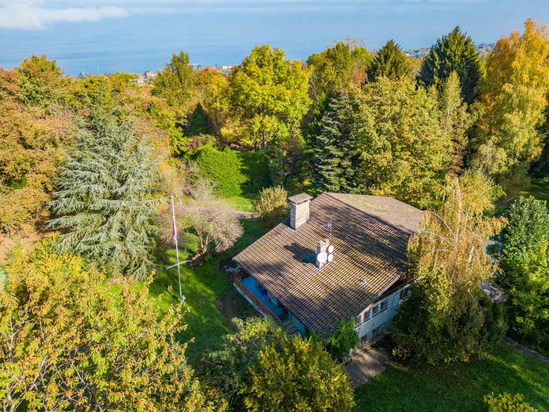 7ce5262b8a1bdf8f5ff4c72d478d428b 76f18bee03 1920 original - Translation missing: en.helpers.application.image_tag.default_alt