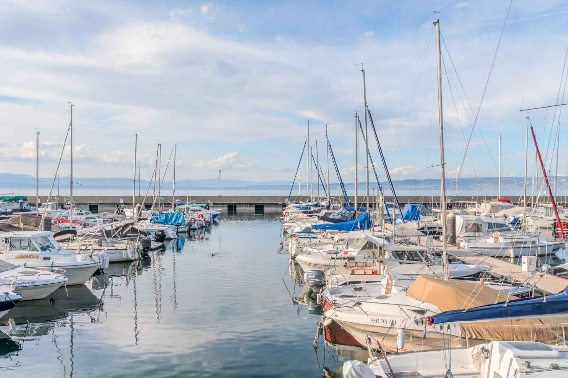 2578a6b3104cdd929b7ceaeb5d172eb3 41ac370dd4 1920 original - Attribut alt par défaut.