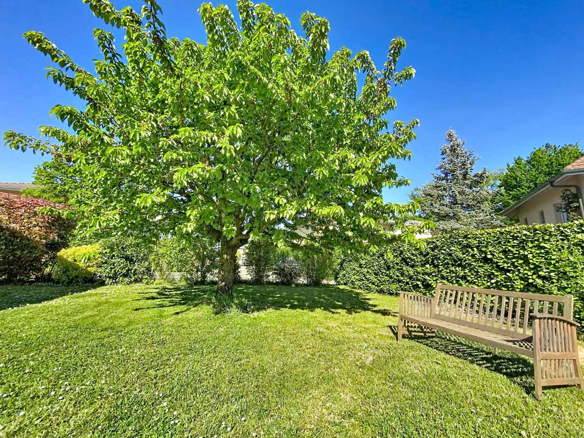 8aa31f11e974ea7c36cfb535a655bf46 6b80daceb8 1920 original - Translation missing: en.helpers.application.image_tag.default_alt