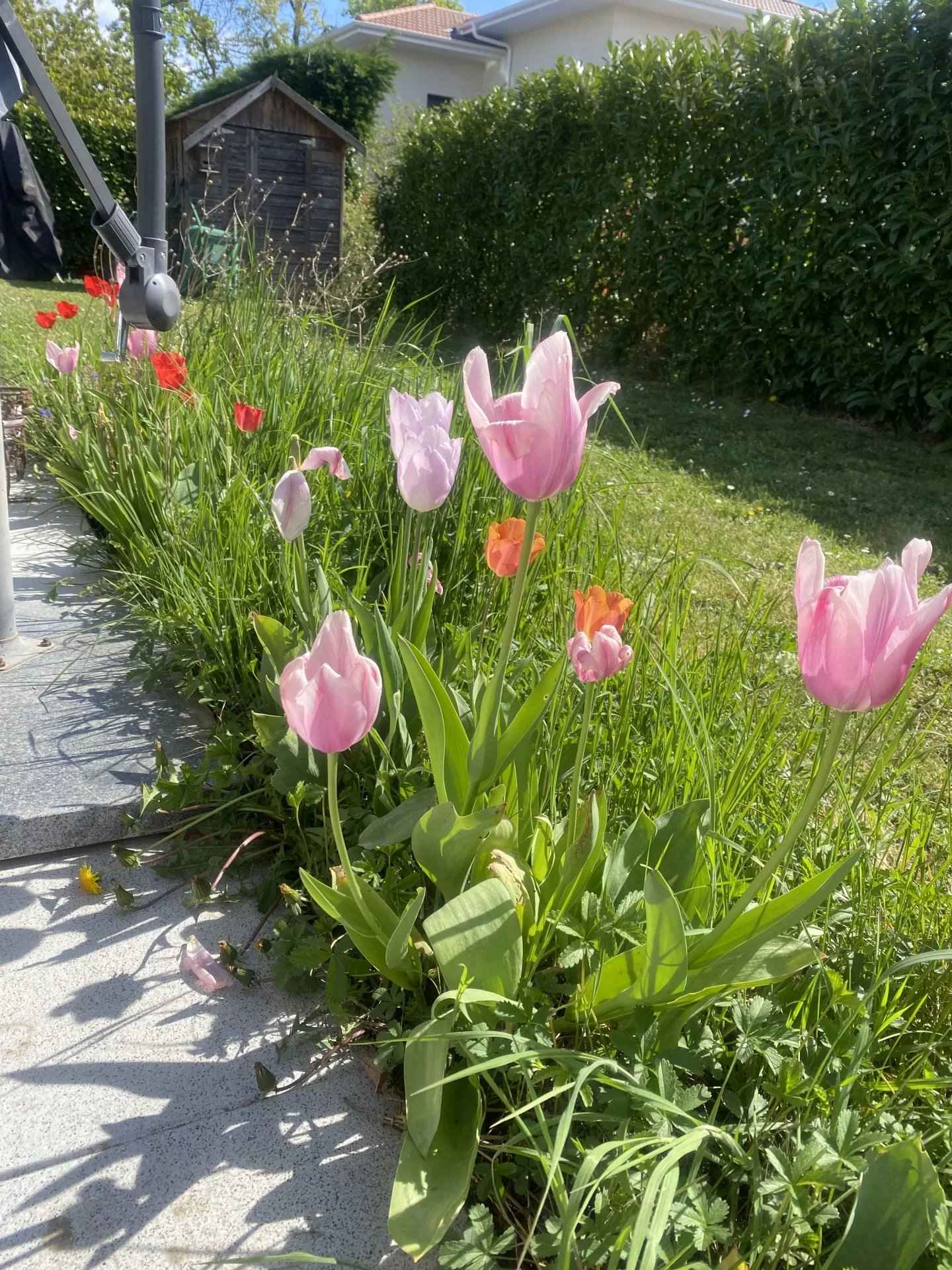 80379893302cd95082e8b911fe8b1ae5 43fd2bd87b 1920 original - Translation missing: en.helpers.application.image_tag.default_alt