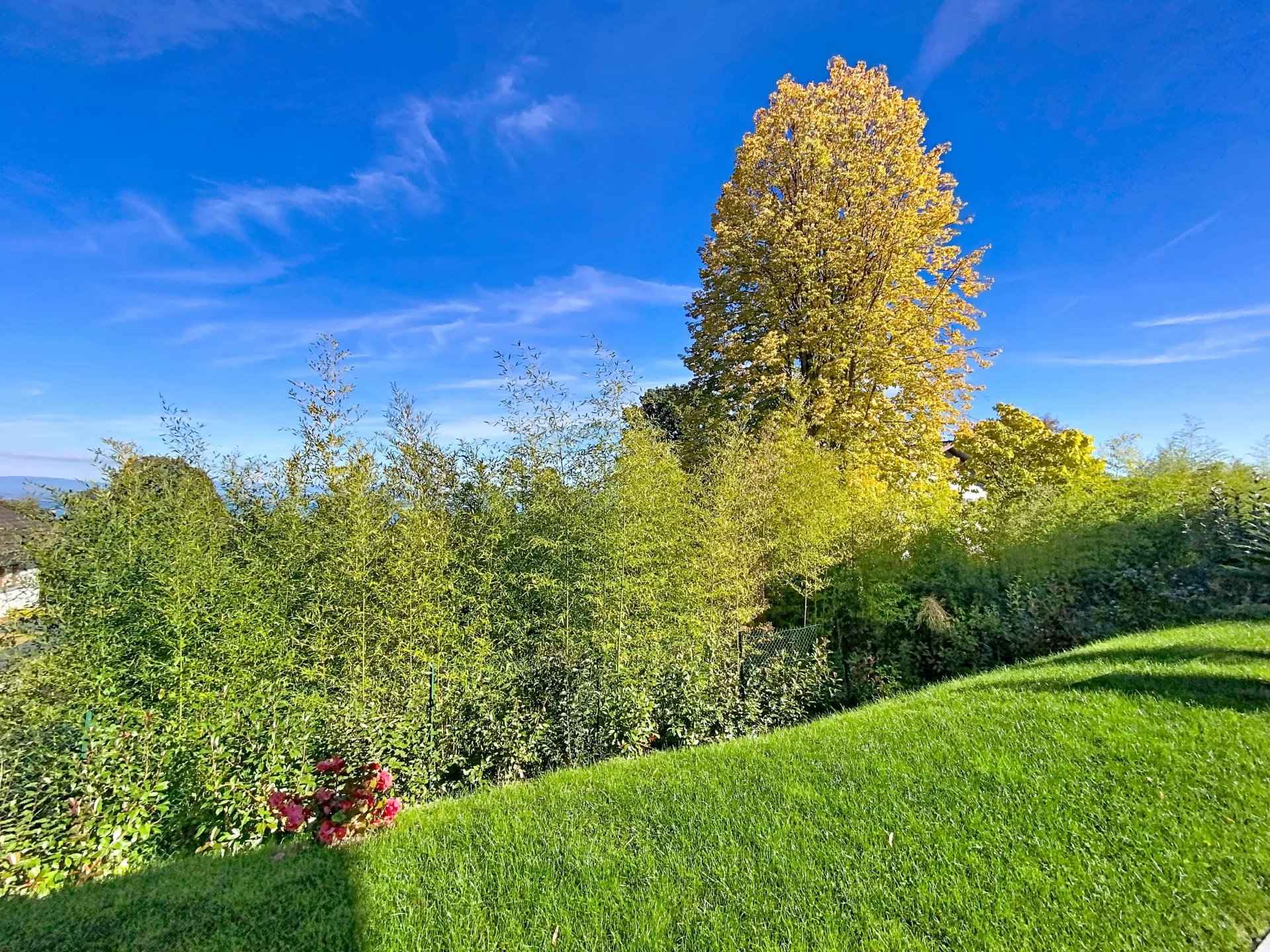 Fce89df7679c949a206ed9b3ba37df36 f81ac12e9b 1920 original - Translation missing: en.helpers.application.image_tag.default_alt