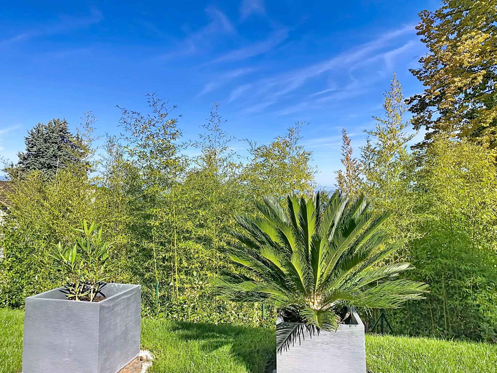 92682de003e495ea5417482d2546c299 ddb48f75f6 1920 original - Translation missing: en.helpers.application.image_tag.default_alt