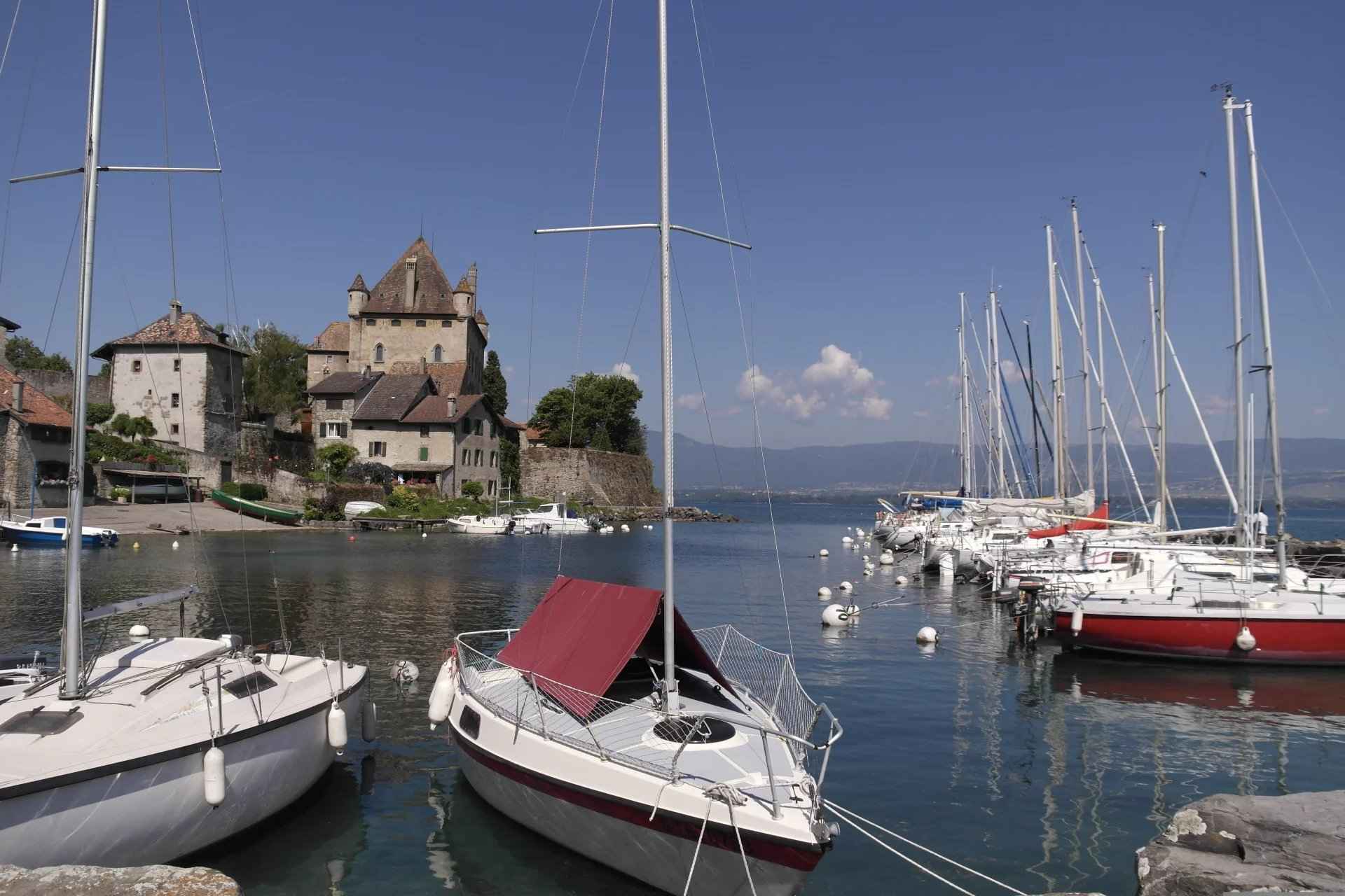 53e0d9bcb69f89750582116fd4d1b0f8 6dbf0b73b7 1920 original - Attribut alt par défaut.