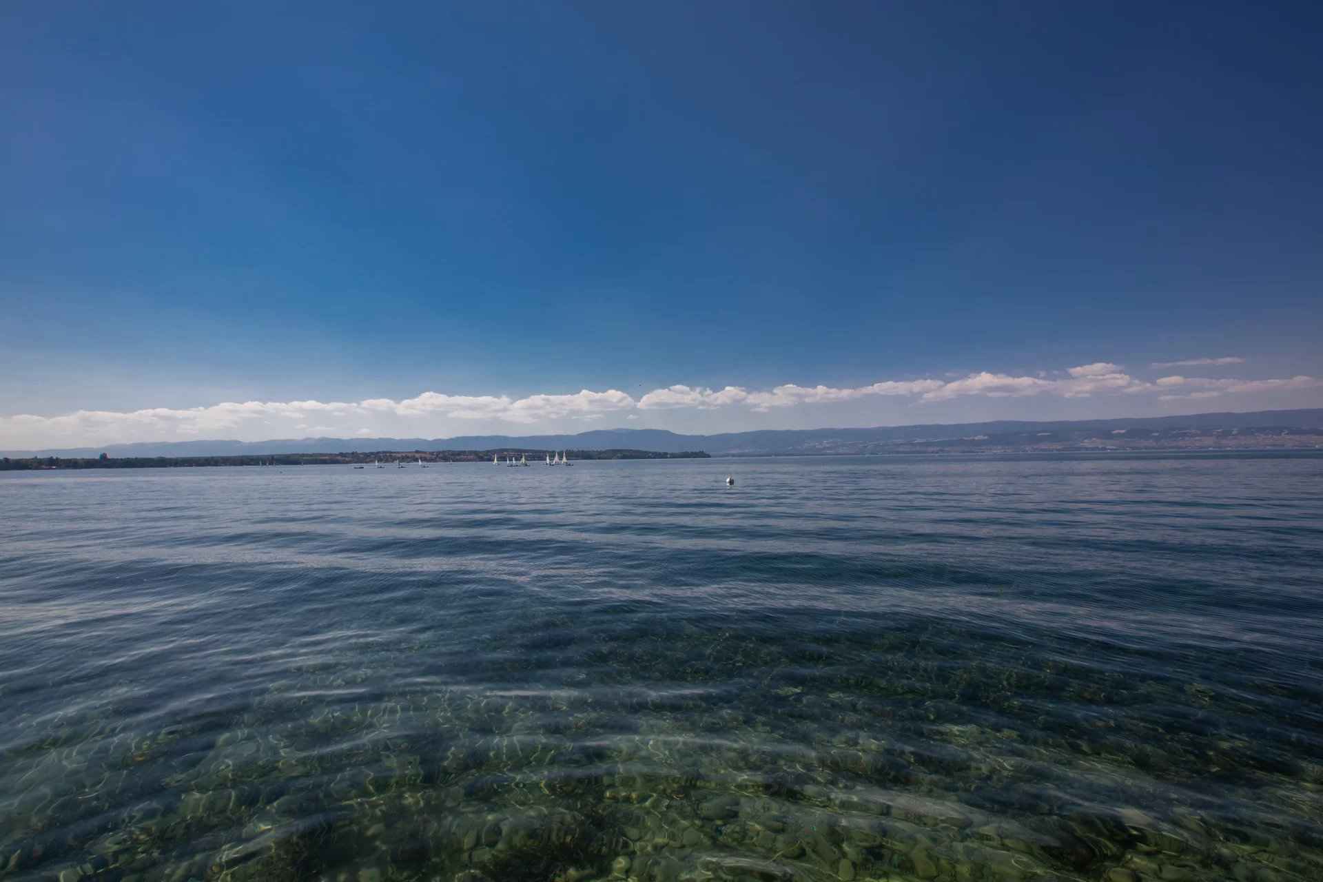 Maison / Villa - Barnes Léman, agence immobilière de prestige