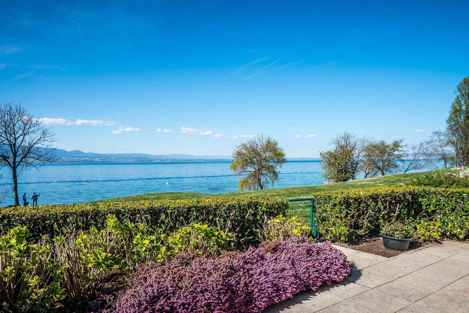 Flat - Barnes Évian, agence immobilière de prestige