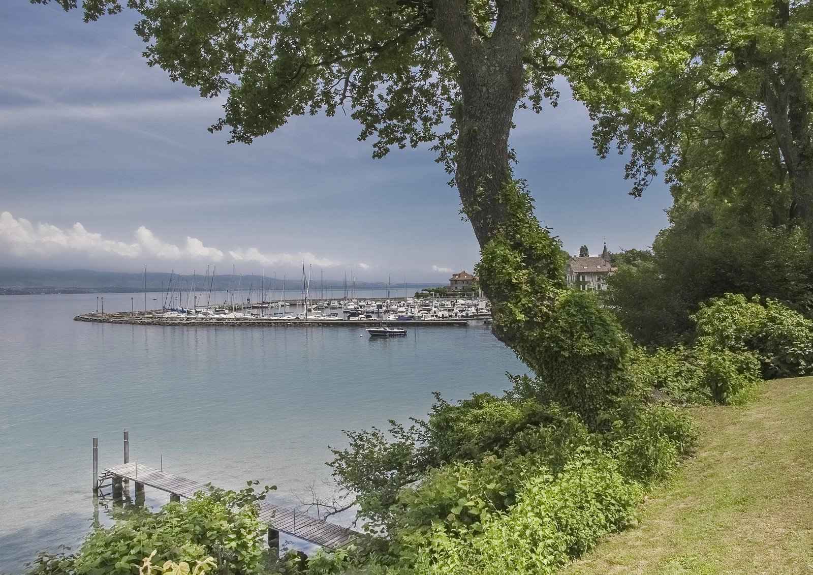 Maison / Villa - Barnes Évian, agence immobilière de prestige
