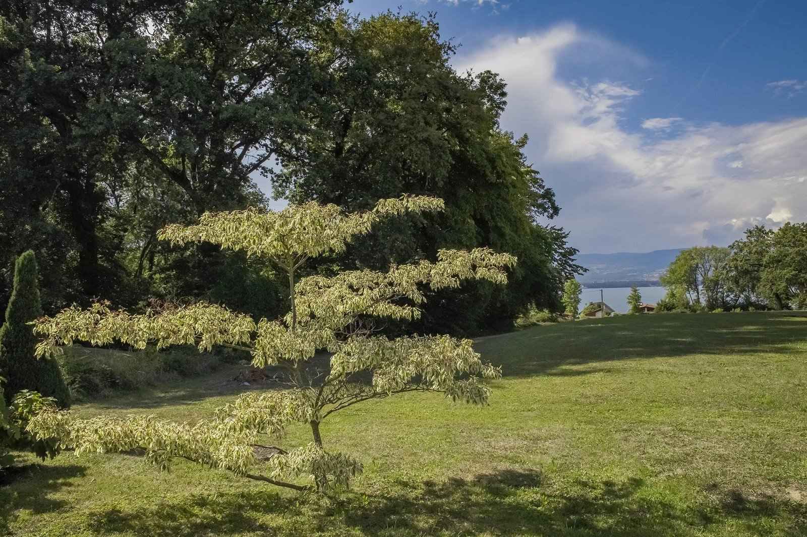 Maison / Villa - Barnes Évian, agence immobilière de prestige