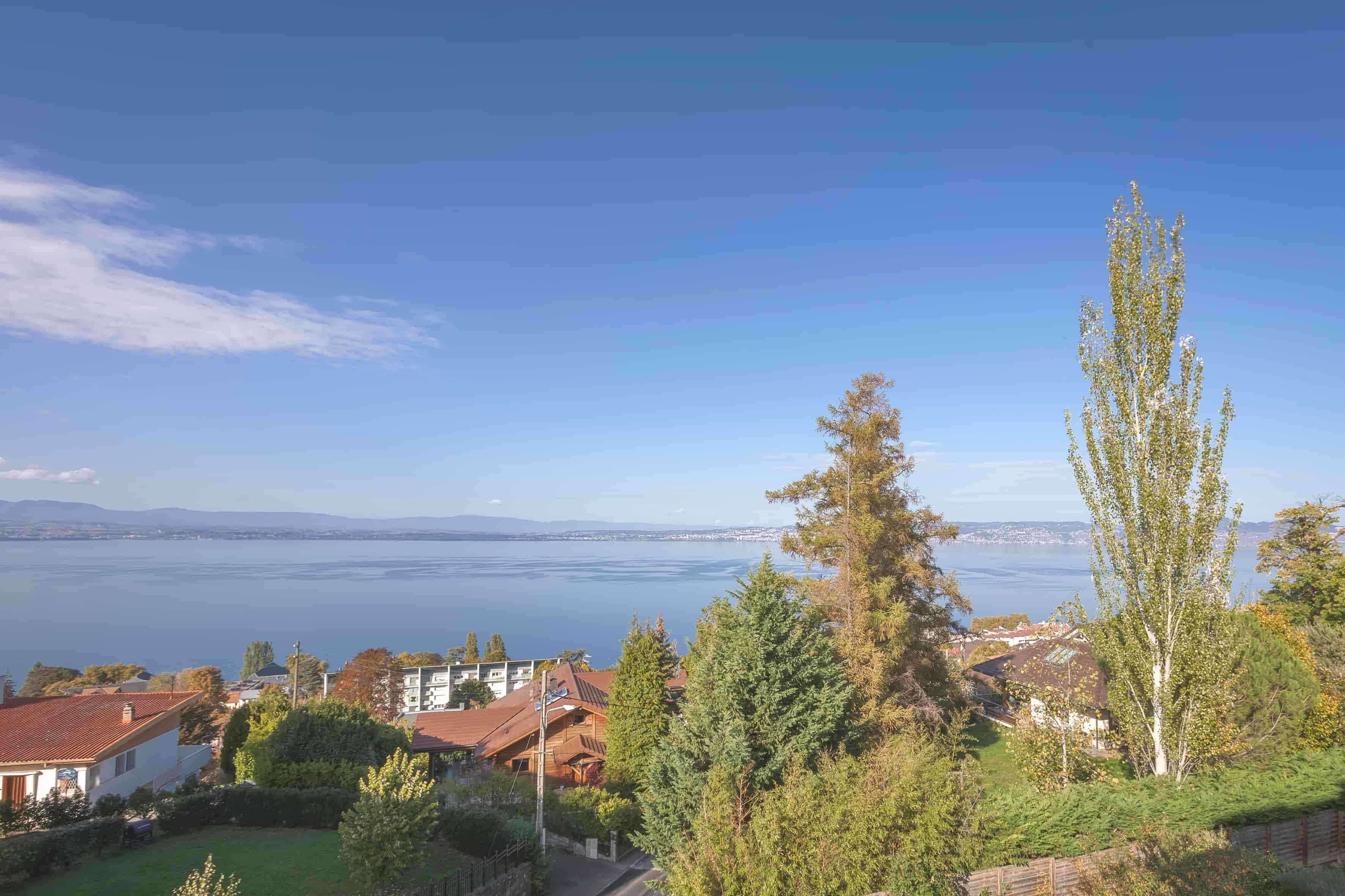 view on the lake leman